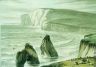 Historic Painting - Freshwater Bay