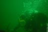Diver