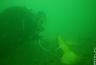 Diver