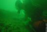 Diver
