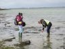 Langstone Harbour - Hayling