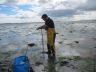 Langstone Harbour - Coring
