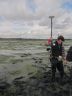 Langstone Harbour - Survey