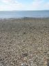 Langstone Harbour - Hayling