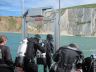 Alum Bay - Divers