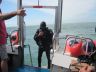 Alum Bay - Diver