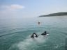 Bouldnor Cliff - Divers