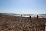 Langstone Harbour - North Binness