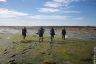 Langstone Harbour