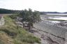 Langstone Harbour - Hayling