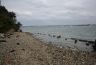Burrow Island Survey