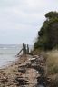Burrow Island Survey