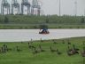 Scheldt Polders - Seismic Survey